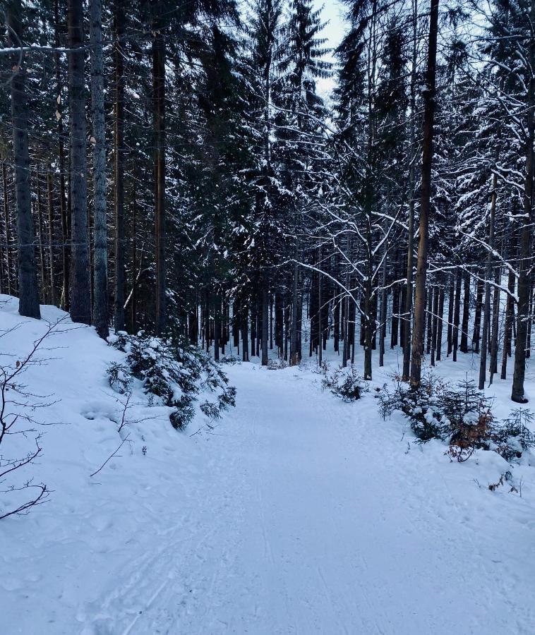 Apartmany Panorama Harrachov Exterior photo